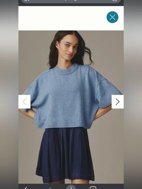 Anthropologie Goldie wool cashmere twofer dress